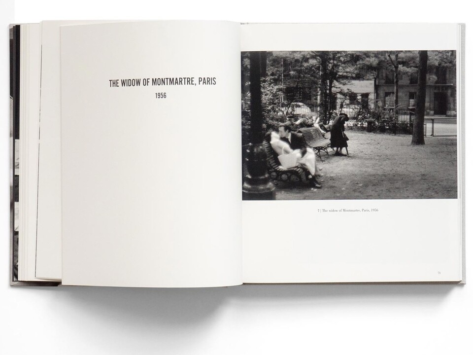 Bruce Davidson: Survey
