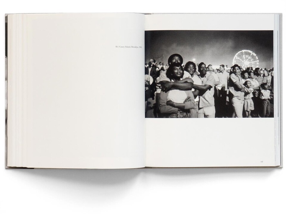 Bruce Davidson: Survey