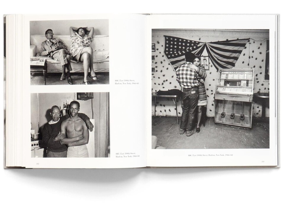 Bruce Davidson: Survey