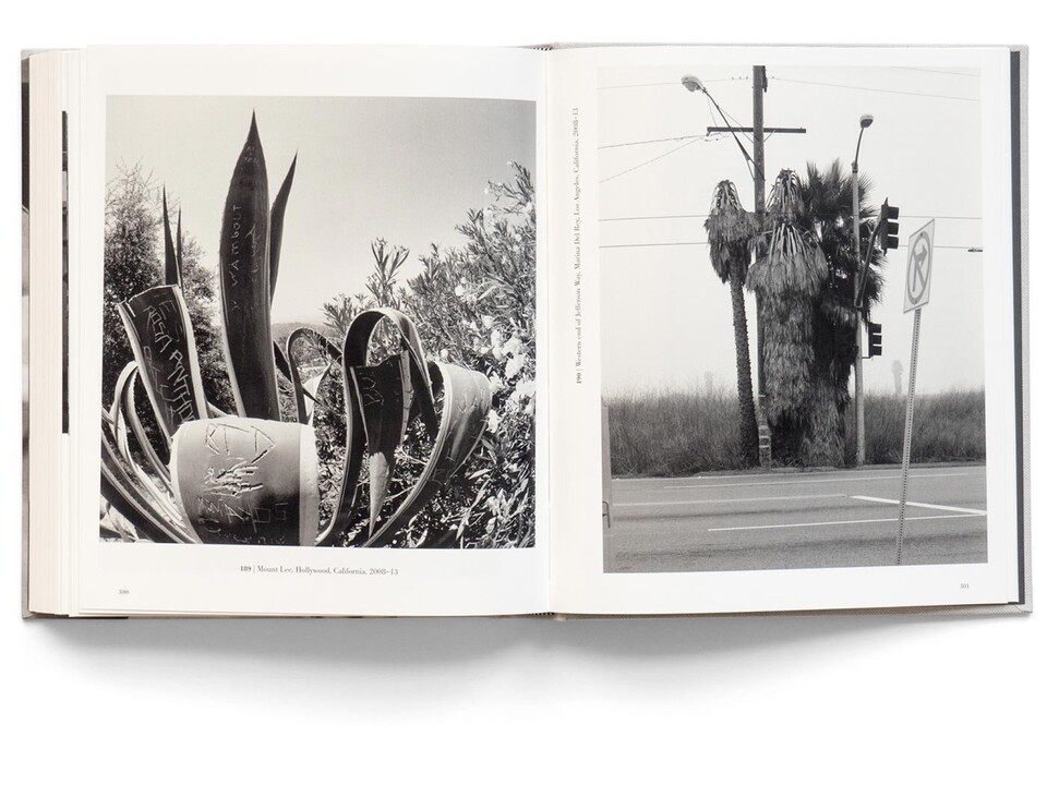 Bruce Davidson: Survey