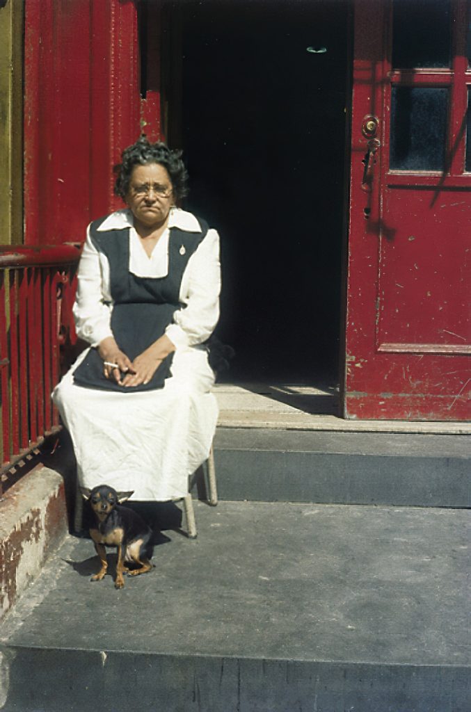 Helen Levitt (Photofile)