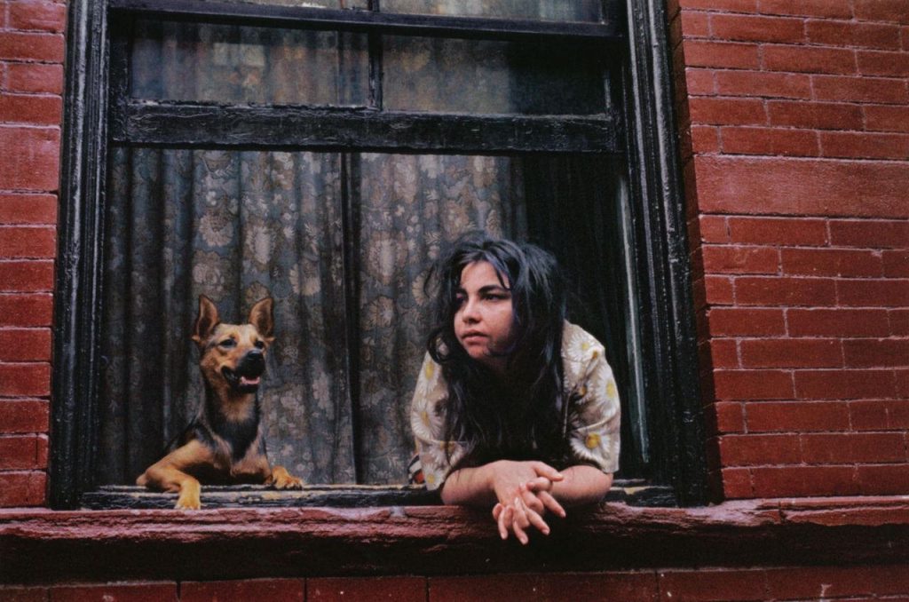 Helen Levitt (Photofile)