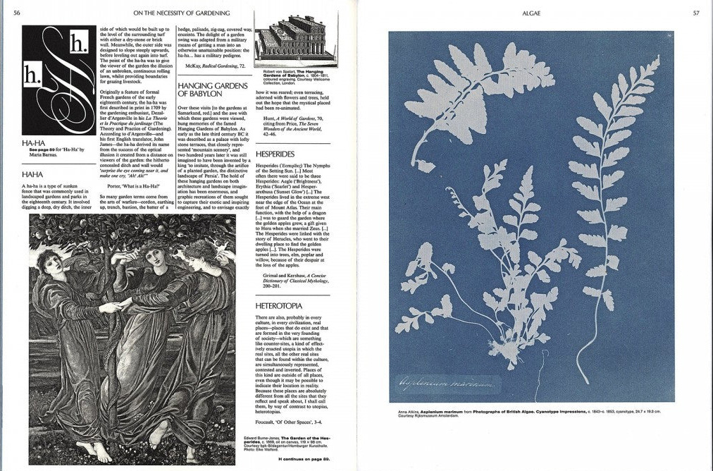 On the Necessity of Gardening: An ABC of Art, Botany and Cultivation