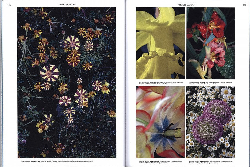On the Necessity of Gardening: An ABC of Art, Botany and Cultivation
