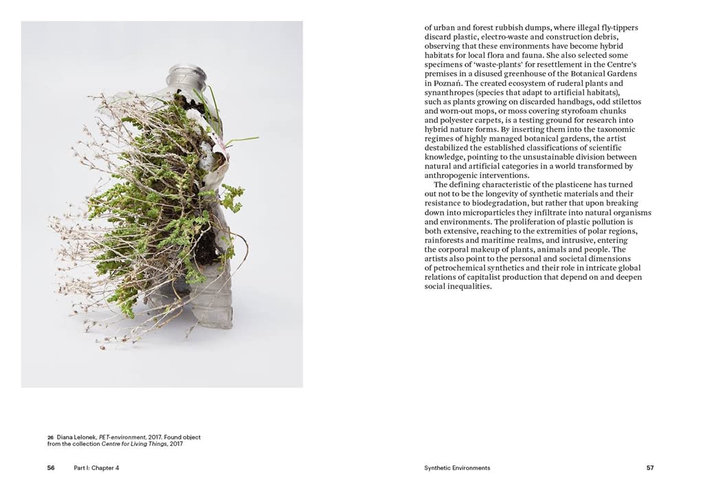 Art and Climate Change (World of Art)