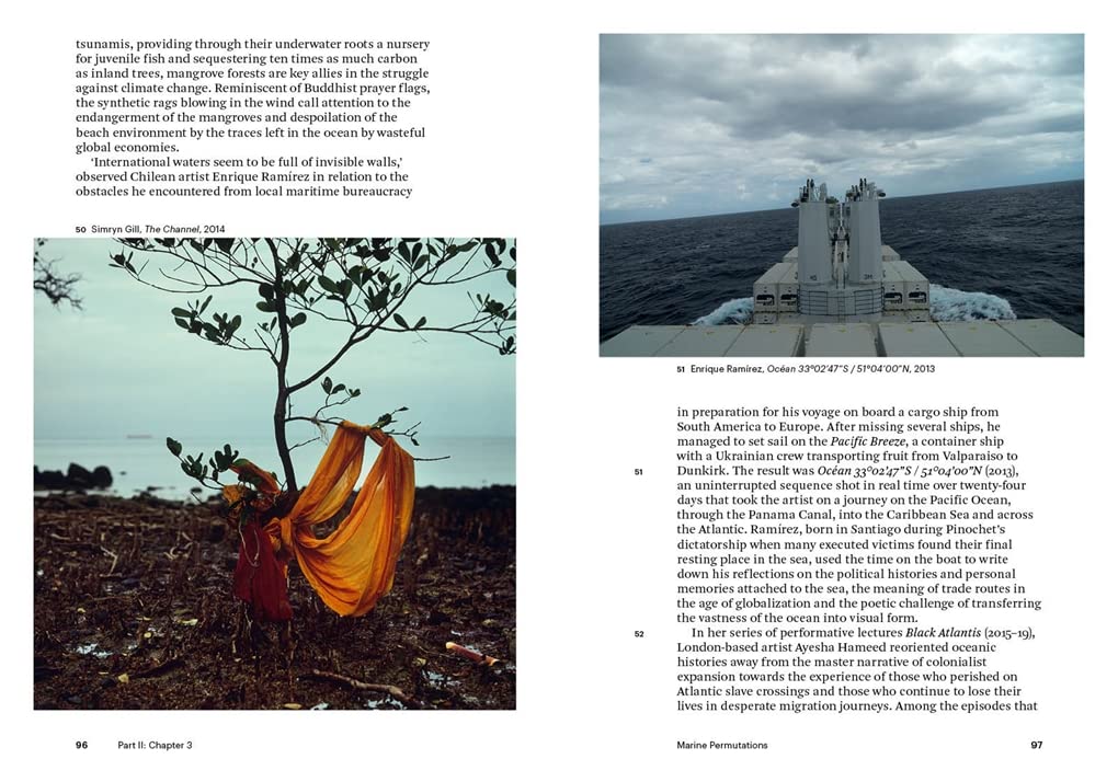 Art and Climate Change (World of Art)