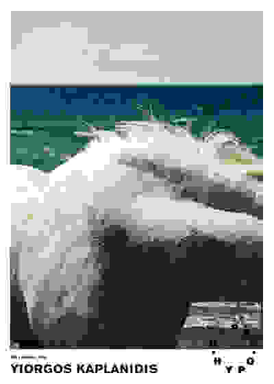 Untitled  (Horse) - Hyper Hypo poster 039