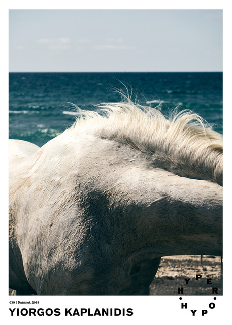 Untitled (Horse) – Hyper Hypo poster 039