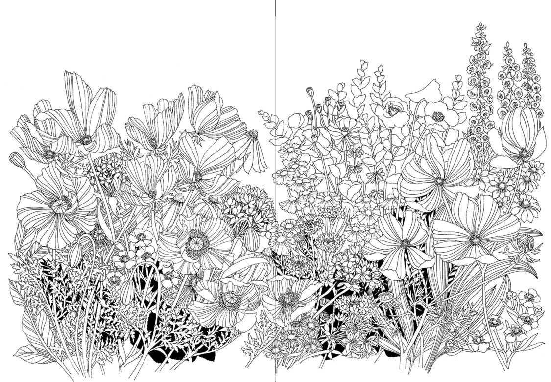 Leila Duly’s Beautiful Planet: An Intricate Colouring Book