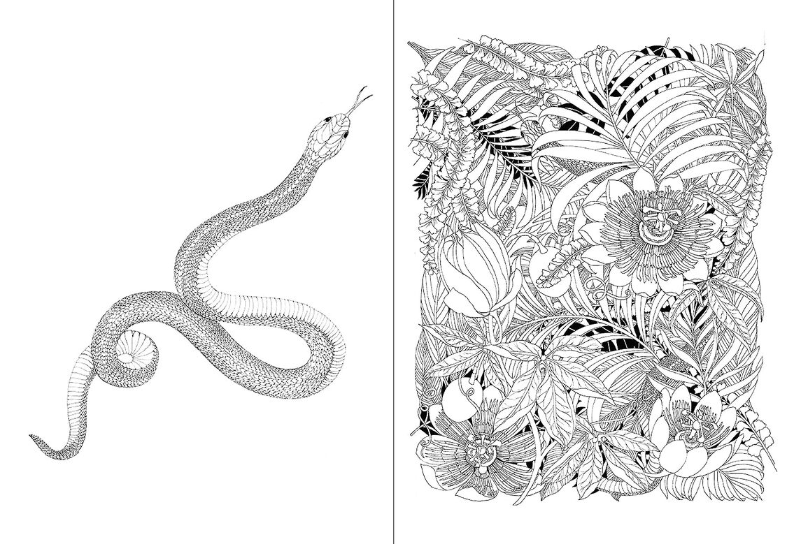 Leila Duly’s Beautiful Planet: An Intricate Colouring Book