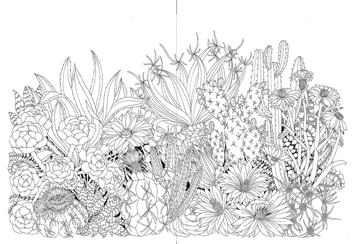 Leila Duly’s Beautiful Planet: An Intricate Colouring Book