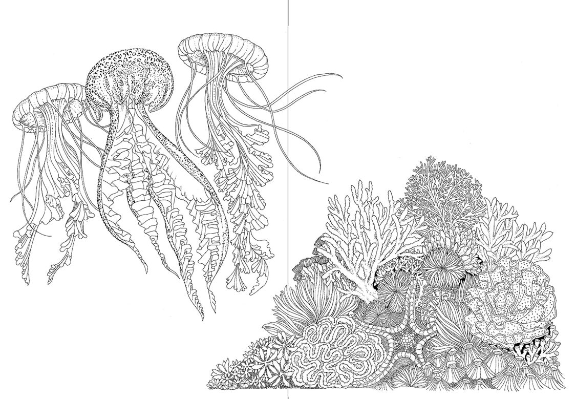 Leila Duly’s Beautiful Planet: An Intricate Colouring Book