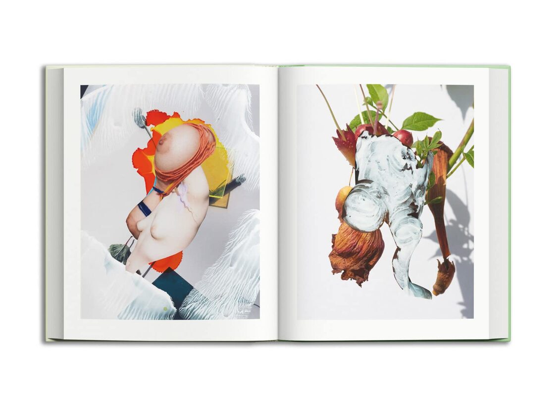 Viviane Sassen & Emanuele Coccia: Modern Alchemy (Artisans of the Wild: an Enchanting History, 2)