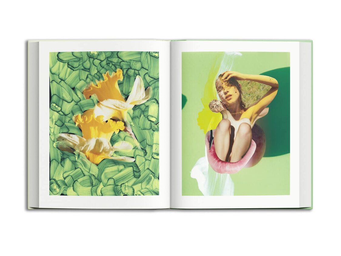 Viviane Sassen & Emanuele Coccia: Modern Alchemy (Artisans of the Wild: an Enchanting History, 2)