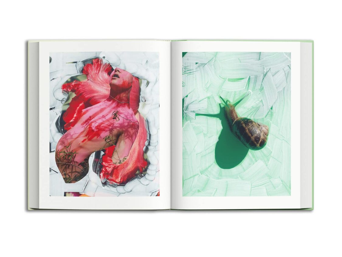 Viviane Sassen & Emanuele Coccia: Modern Alchemy (Artisans of the Wild: an Enchanting History, 2)