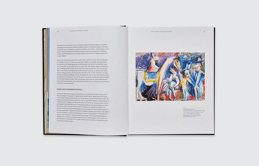 Picasso: Seven Decades of Drawing