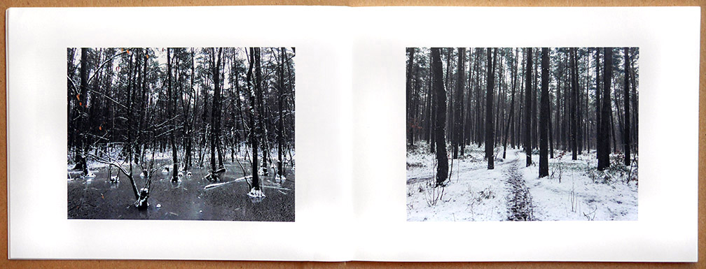 Nobuyoshi Araki and Juergen Teller: Leben und Tod