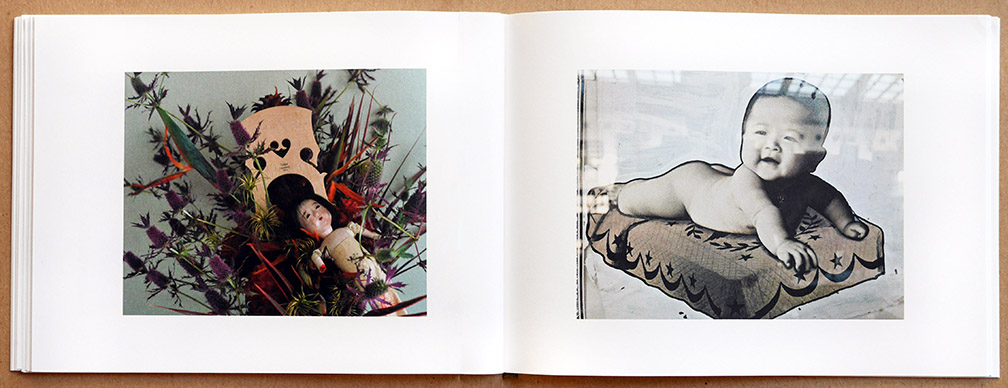 Nobuyoshi Araki and Juergen Teller: Leben und Tod
