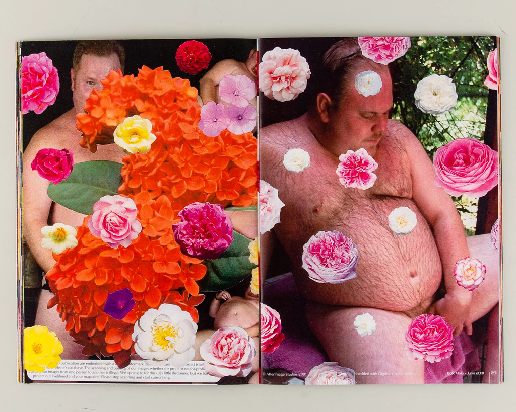 Bulk Male Flower Collages