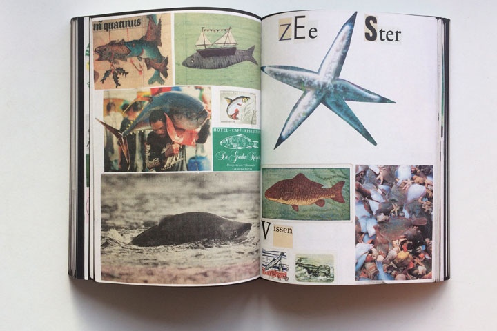 Animal Books For Jaap Zeno Anna Julian Luca