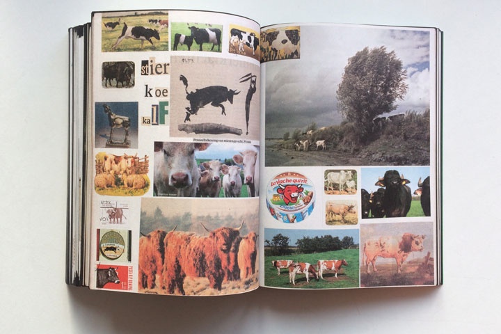 Animal Books For Jaap Zeno Anna Julian Luca
