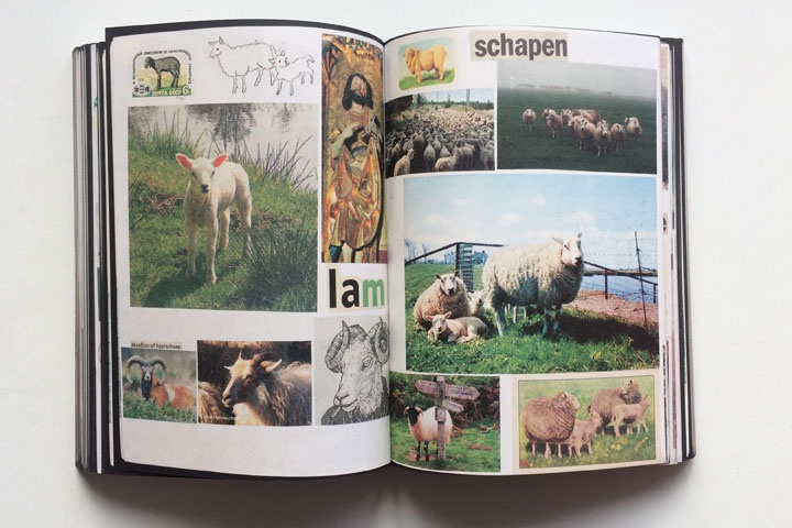Animal Books For Jaap Zeno Anna Julian Luca
