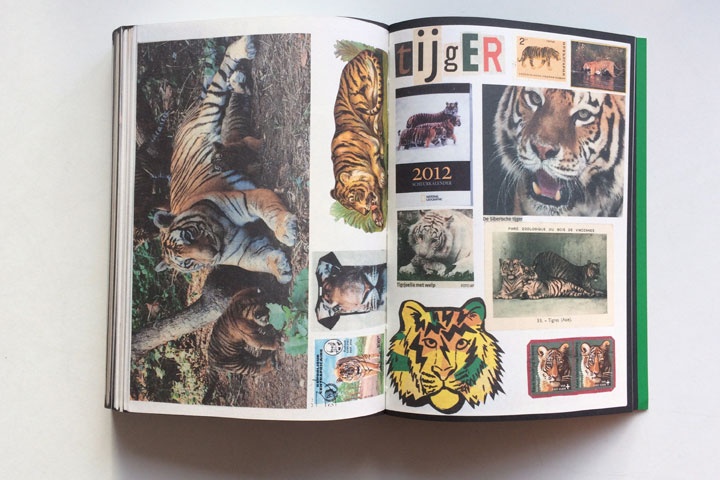 Animal Books For Jaap Zeno Anna Julian Luca