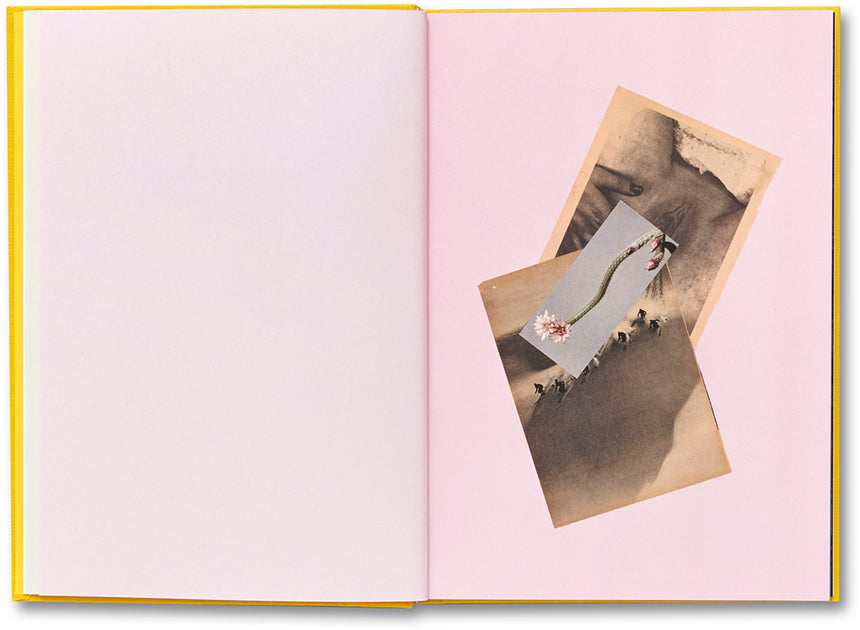 Handbook of the Spontaneous Other