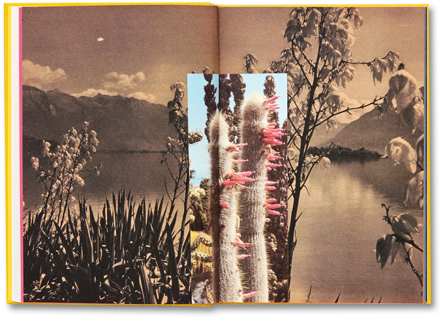 Handbook of the Spontaneous Other