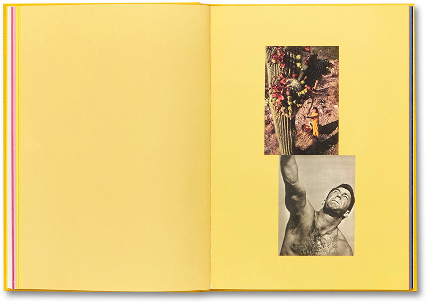 Handbook of the Spontaneous Other