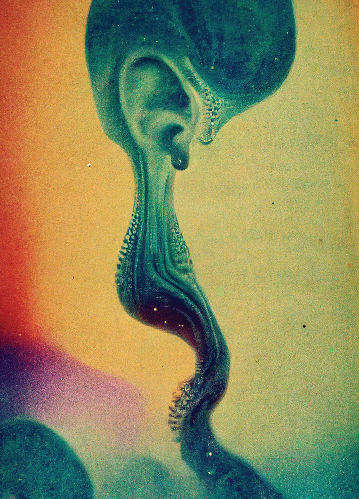 Rorschach Audio
