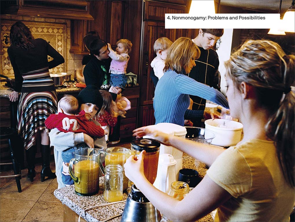 Does Monogamy Work? A Primer for the 21st Century (The Big Idea Series)