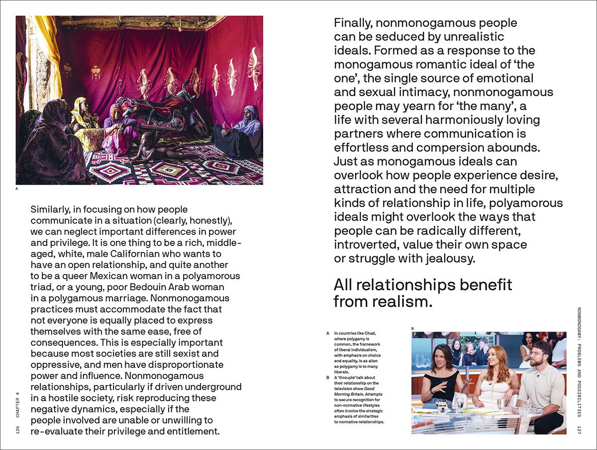Does Monogamy Work? A Primer for the 21st Century (The Big Idea Series)