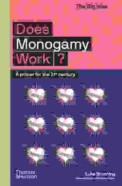 Does Monogamy Work? A Primer for the 21st Century (The Big Idea Series)
