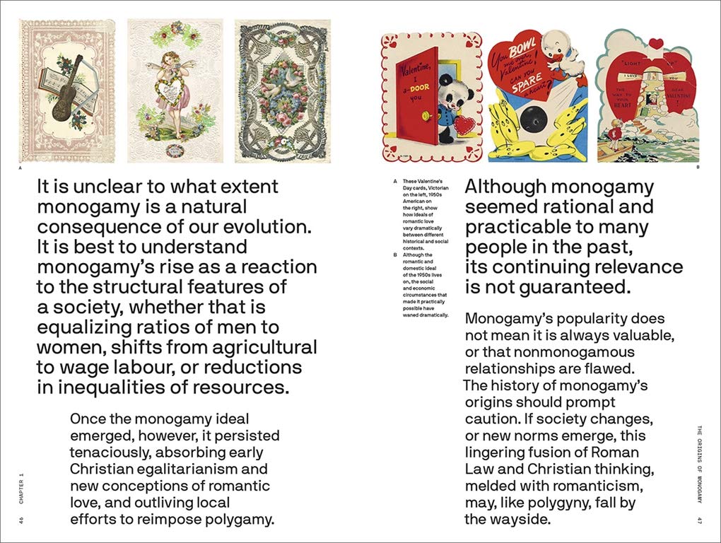 Does Monogamy Work? A Primer for the 21st Century (The Big Idea Series)