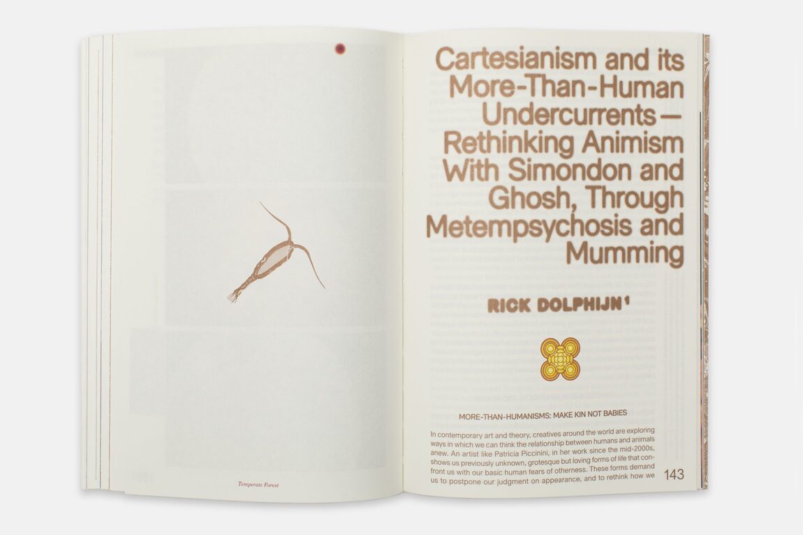 Enfleshed: Ecologies of Entities and Beings