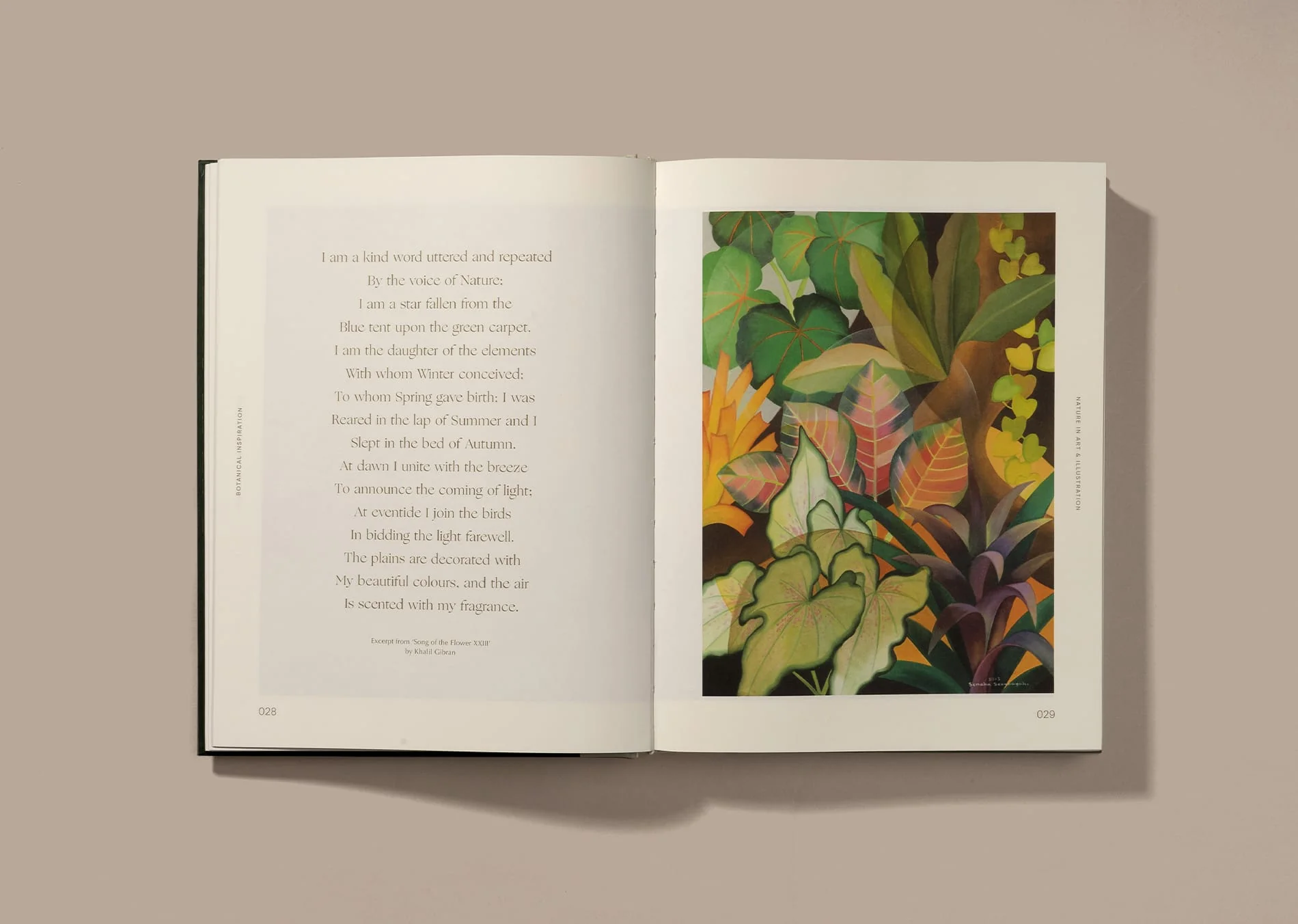 Botanical Inspiration: Nature in Art and Illustration