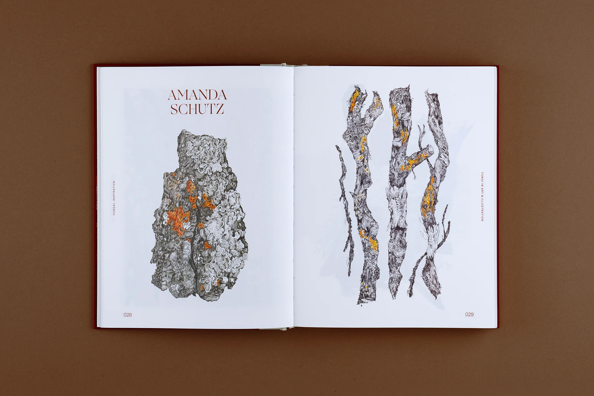 Fungal Inspiration: Art and Illustration Inspired by Wild Nature