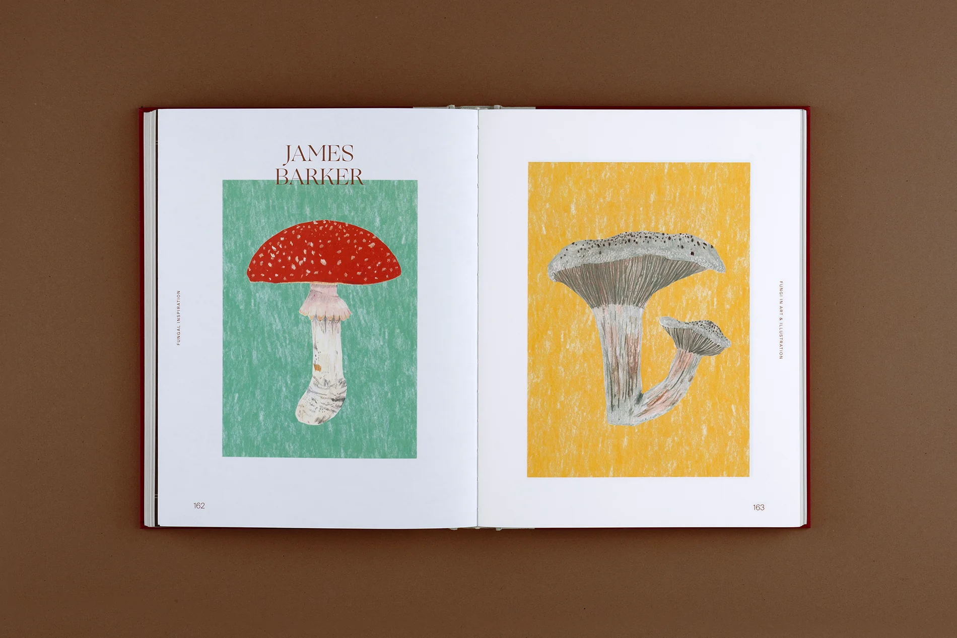 Fungal Inspiration: Art and Illustration Inspired by Wild Nature