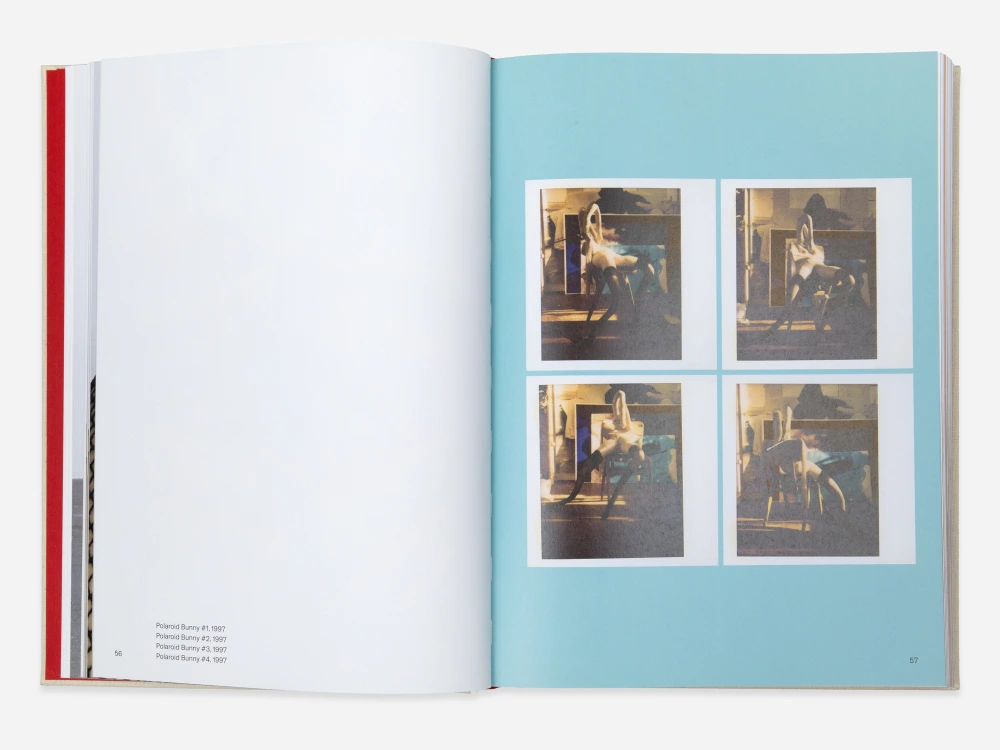 Sarah Lucas: Bunny Book