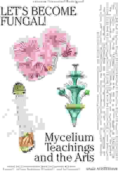 Let's Become Fungal!: Mycelium Teachings and the Arts