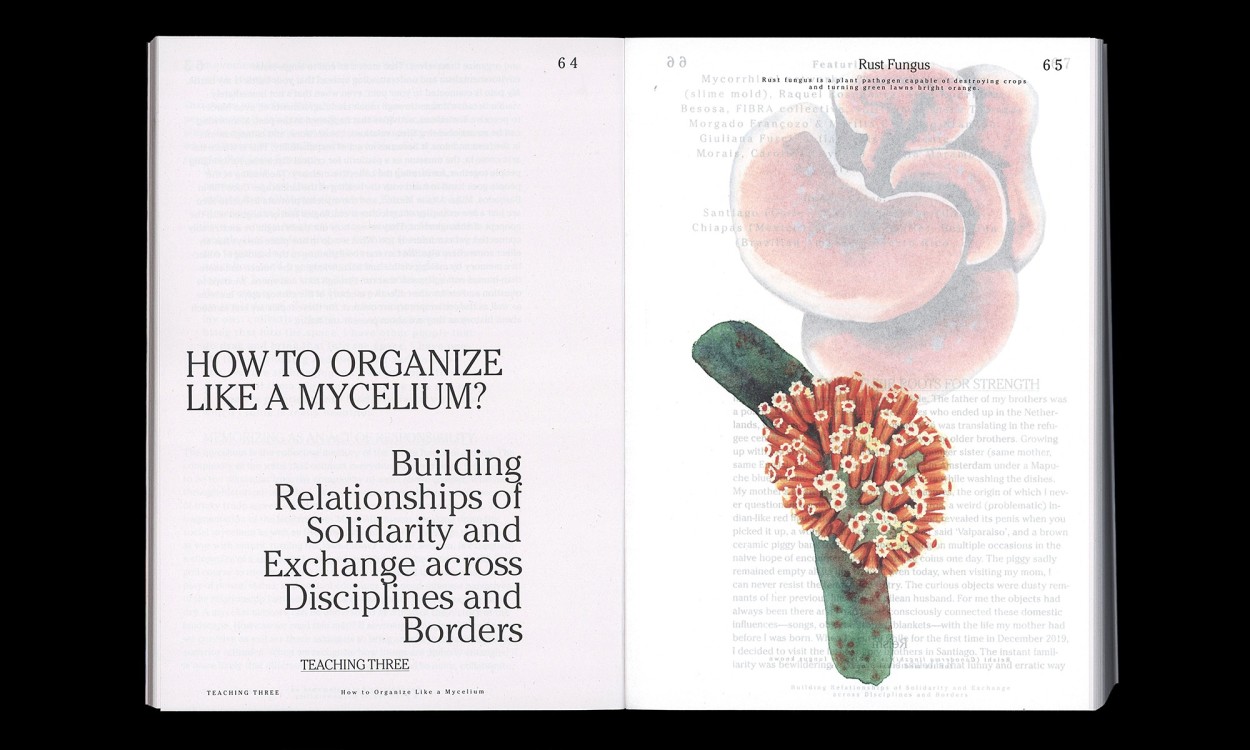 Let’s Become Fungal!: Mycelium Teachings and the Arts