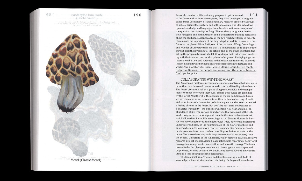 Let’s Become Fungal!: Mycelium Teachings and the Arts