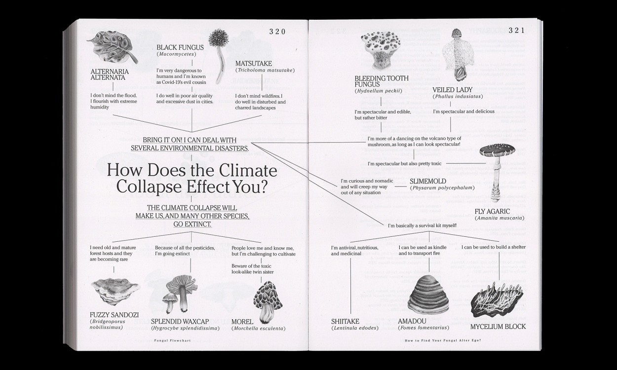 Let’s Become Fungal!: Mycelium Teachings and the Arts