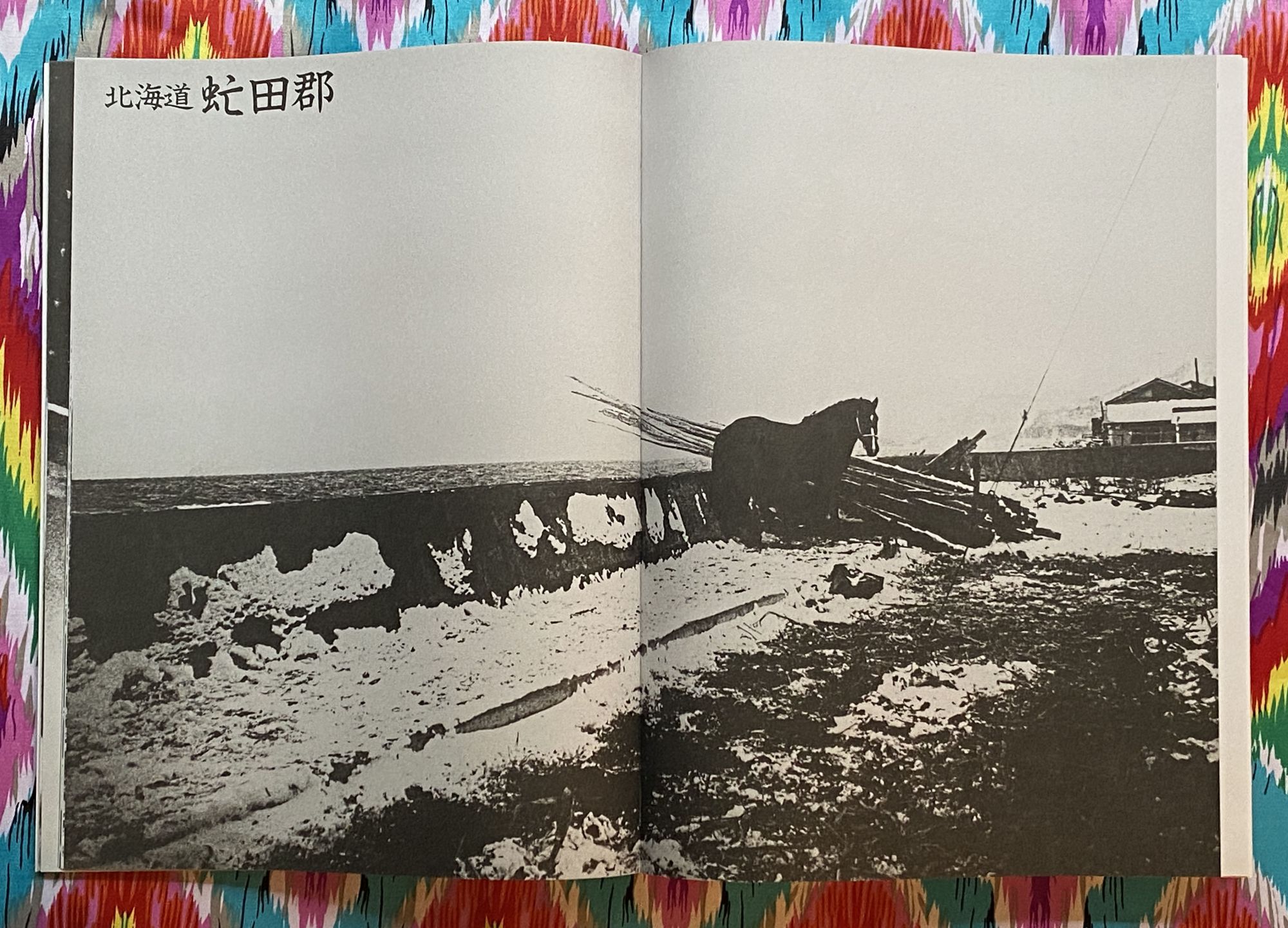 Daido Moriyama Shashin Jidai 1981 – 1988