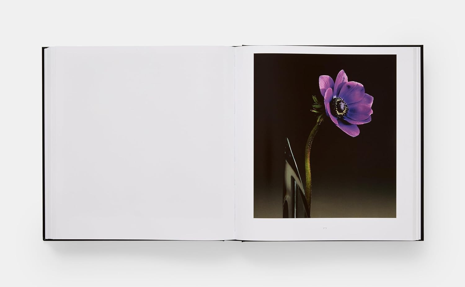 Mapplethorpe Flora: The Complete Flowers - Hyper Hypo