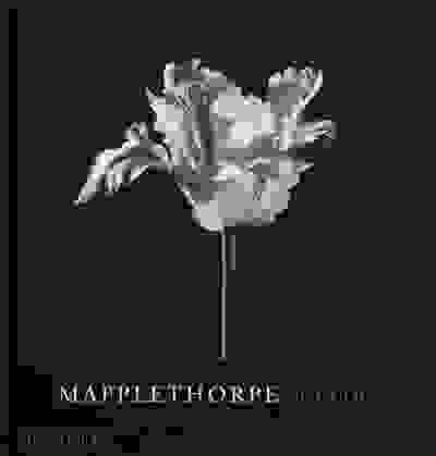 Mapplethorpe Flora: The Complete Flowers