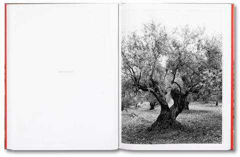 Adam Broomberg & Rafael Gonzalez: Anchor in the Landscape