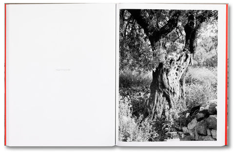 Adam Broomberg & Rafael Gonzalez: Anchor in the Landscape