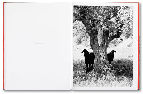 Adam Broomberg & Rafael Gonzalez: Anchor in the Landscape